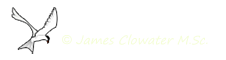 Go to James Clowater's web site