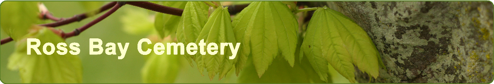 The Three Sisters, a banner image showing emerging Maple leaves in Spring